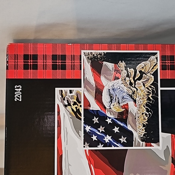 Paint by Number Kit - Patriotic Eagle Design - Picture 4 of 7